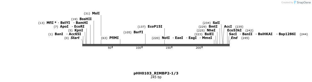 175876_map