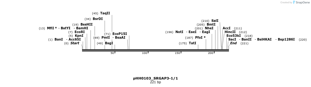 175878_map