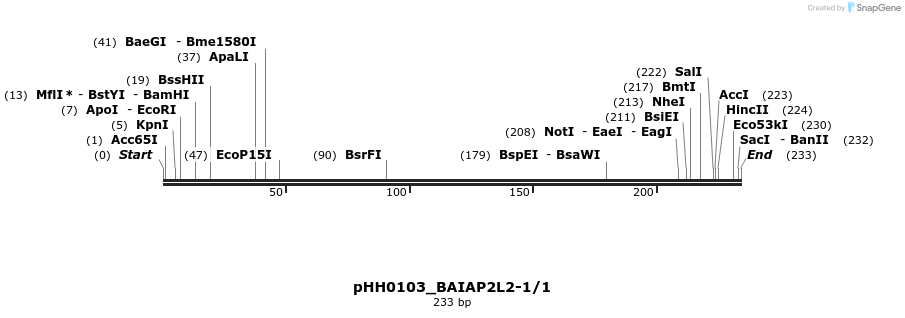 175881_map