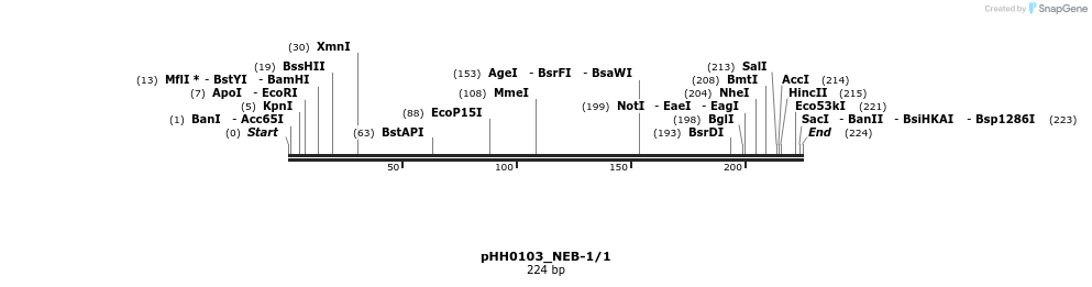 175884_map