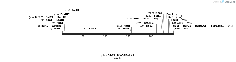 175893_map