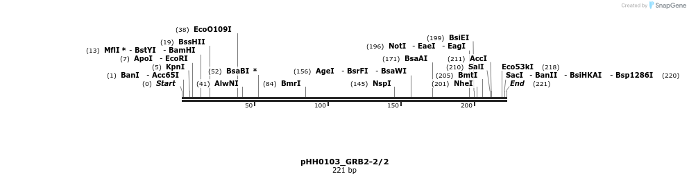 175898_map