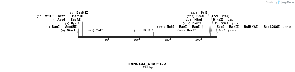 175900_map