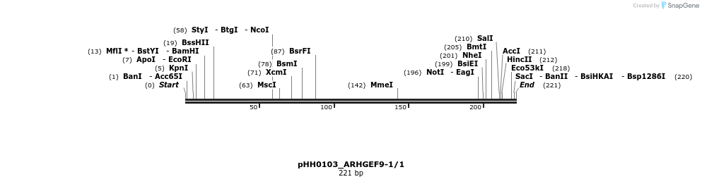 175905_map