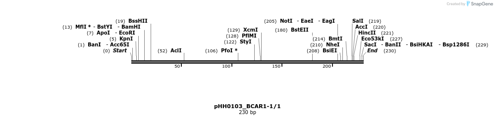 175906_map