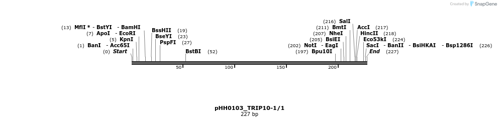175907_map