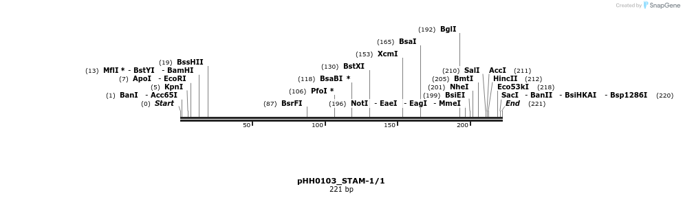 175916_map