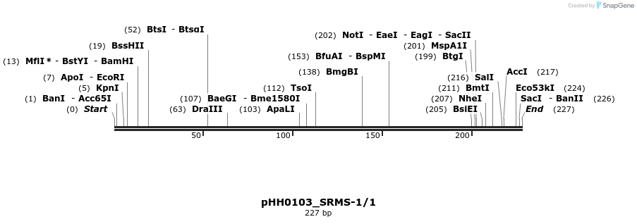 175918_map