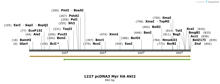17592_map