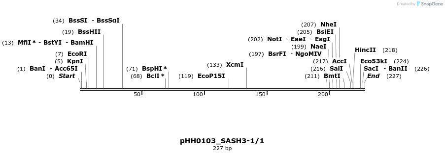 175922_map