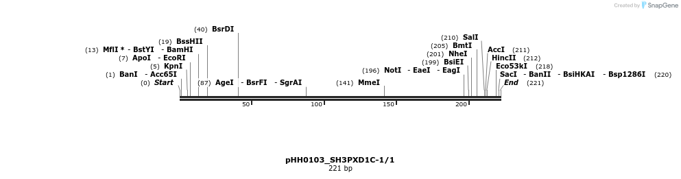 175933_map