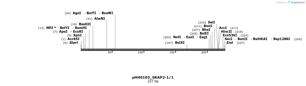 175935_map