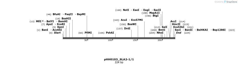 175938_map