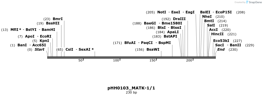 175943_map