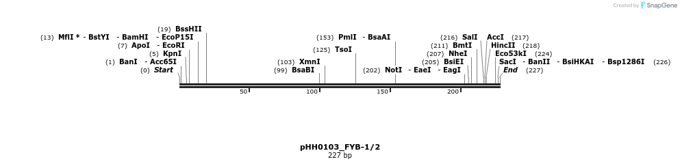 175947_map