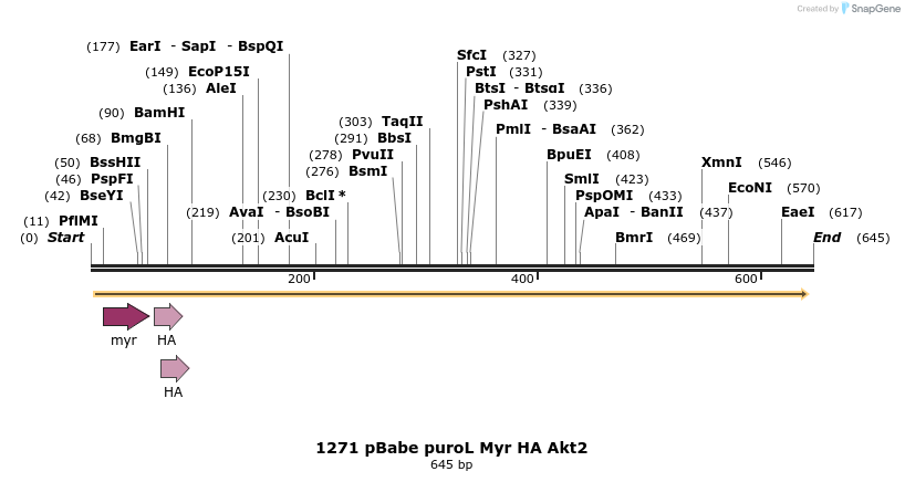 17595_map