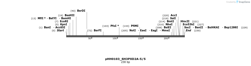 175952_map