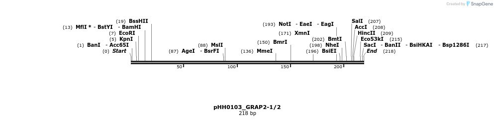 175955_map