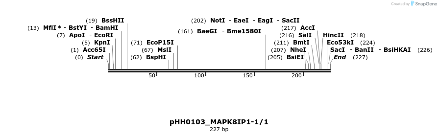 175957_map