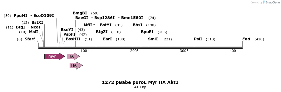 17596_map