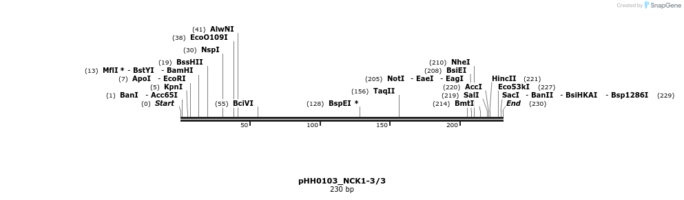 175964_map