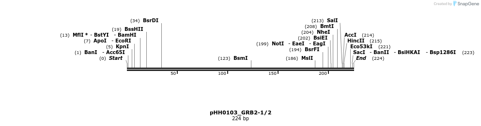 175968_map