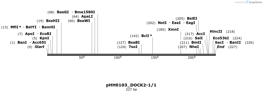 175970_map