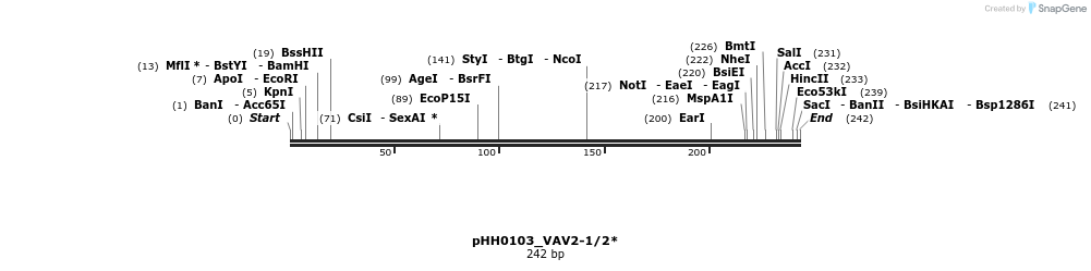 175971_map