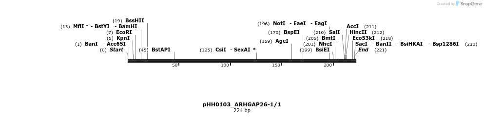 175972_map