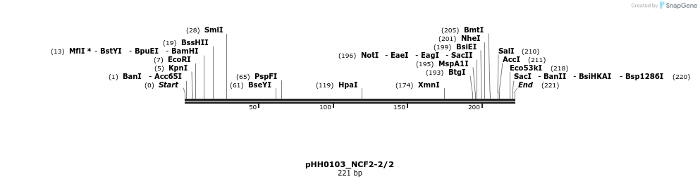 175976_map