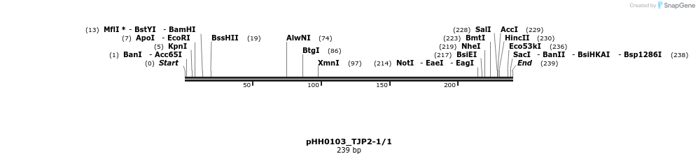 175981_map