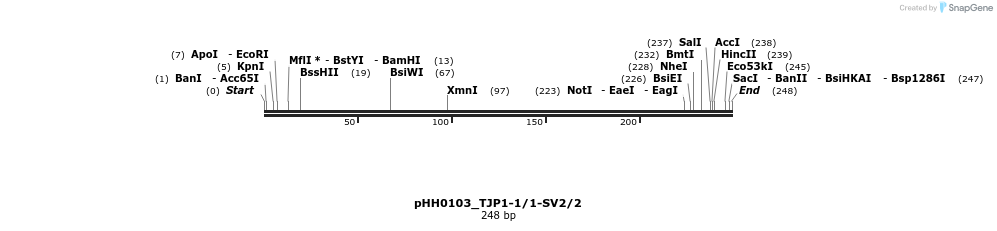 175982_map