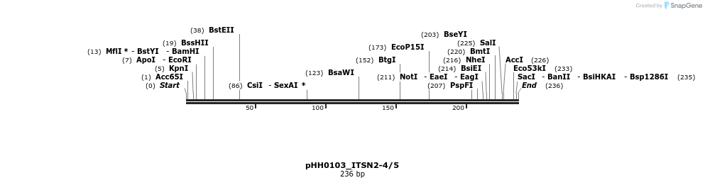175984_map
