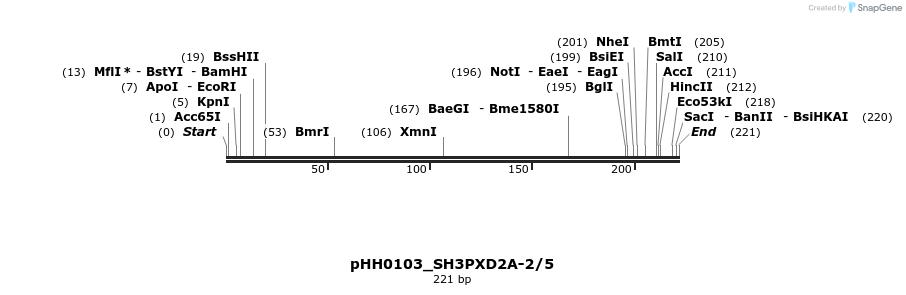 175988_map