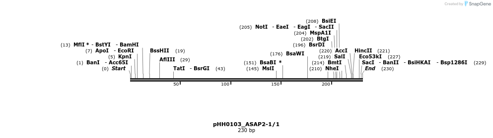 175992_map
