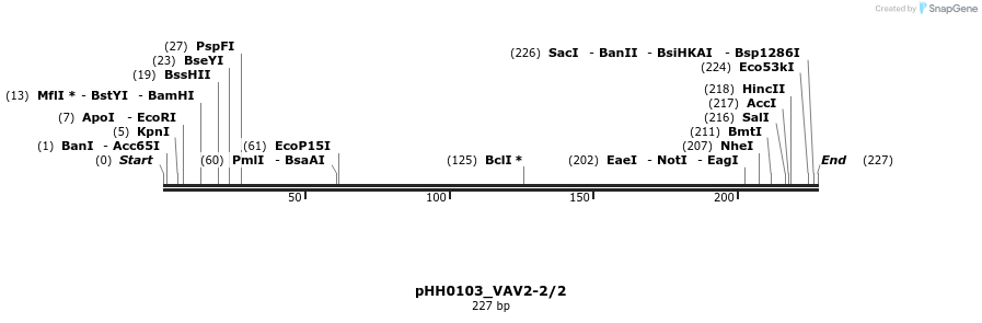 175994_map