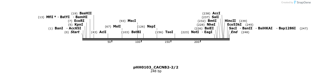 175995_map