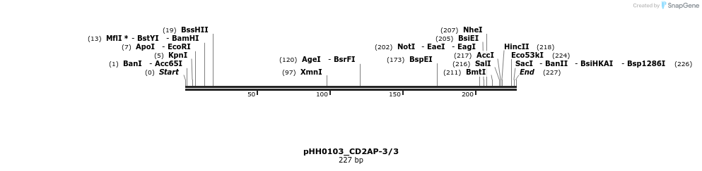 175996_map
