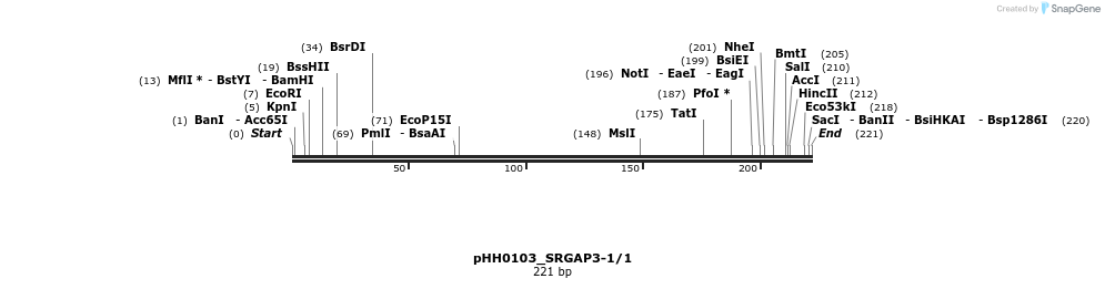 175998_map