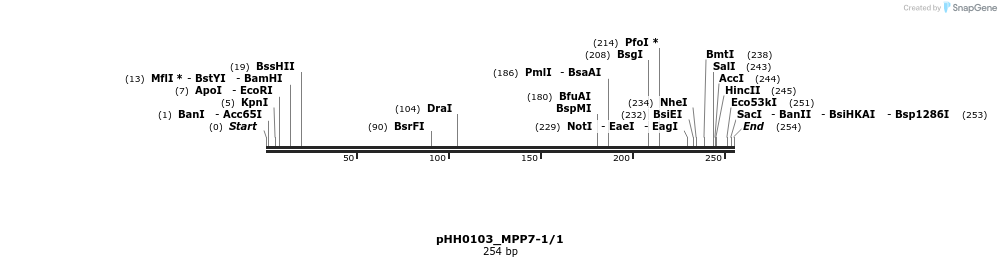 176004_map