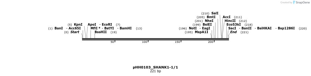 176005_map