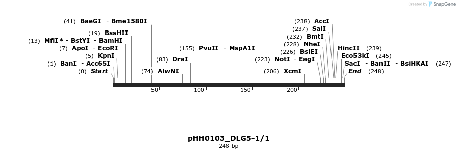 176010_map
