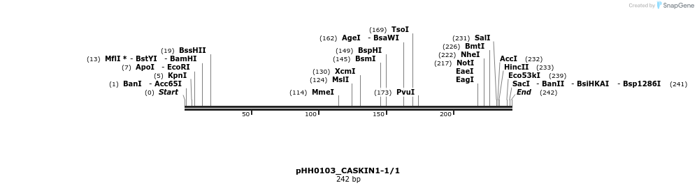 176011_map