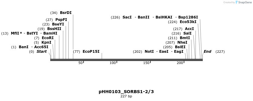 176018_map