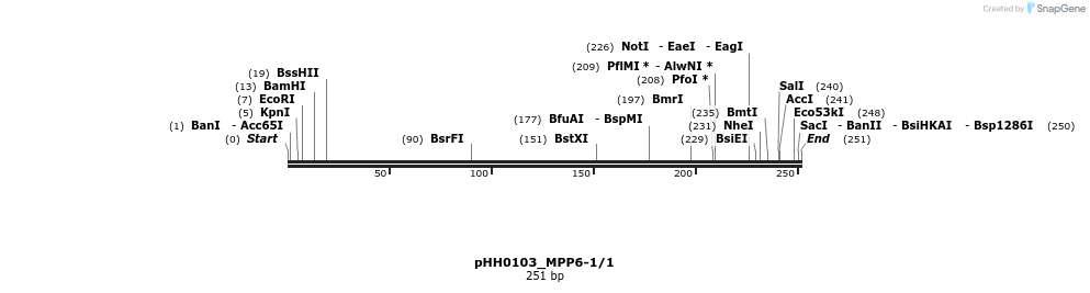 176019_map