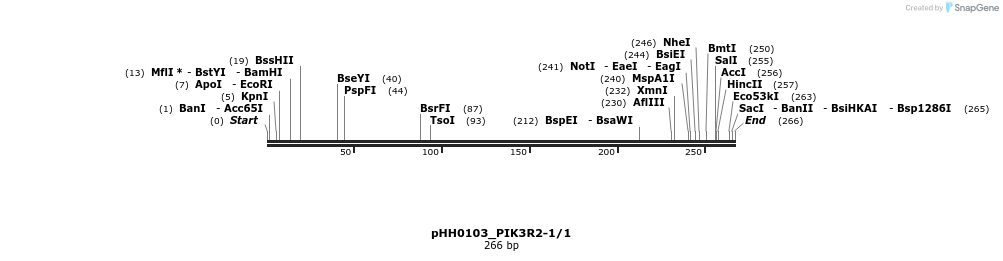 176023_map