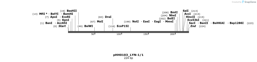 176024_map