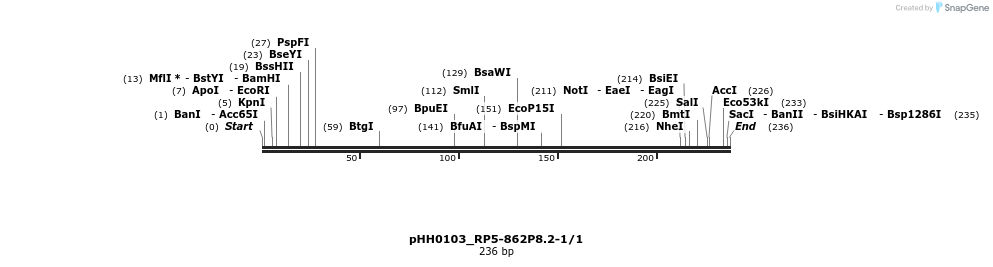 176025_map