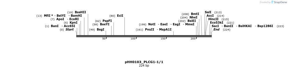 176028_map
