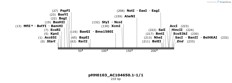 176029_map
